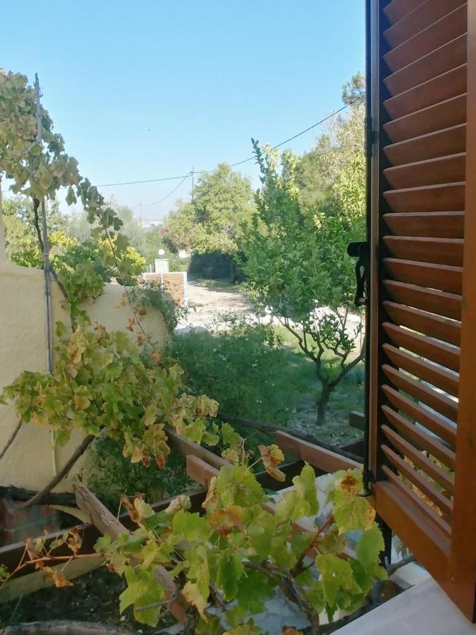 Vila Ζini 2 Kéfalos Exteriér fotografie