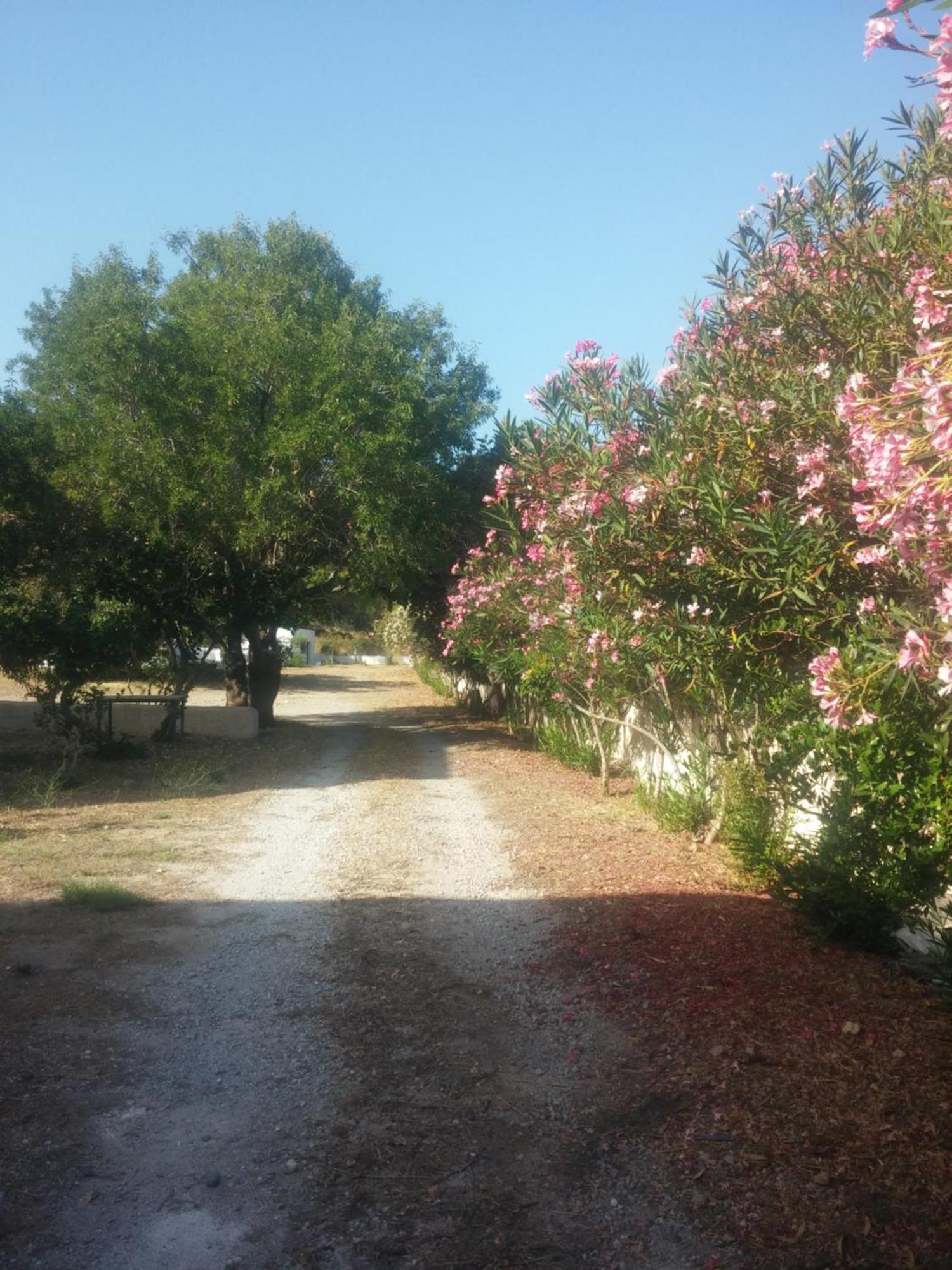 Vila Ζini 2 Kéfalos Exteriér fotografie
